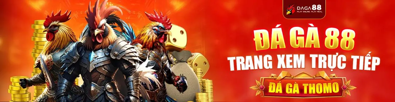 Đá gà trực tuyến sôi động tại QT99 Win